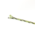 UNDERCARP Leadcore bez rdzenia 10m 45lbs zielony