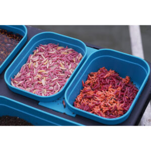 pudelko-drennan-modular-system-dms-bait-seal-box-057l-pelne-zamkniecie (1)