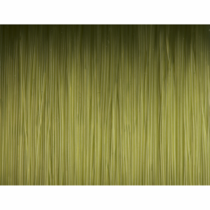 Żyłka karpiowa Density Green Prologic
