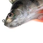 FOX RAGE Przynęta Okoń Ultra Realistic Perch Replicant