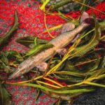 FOX RAGE Przynęta Szczupak Ultra Realistic Pike Replicant