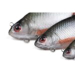 FOX RAGE Przynęta Płoć Ultra Realistic Roach Replicant