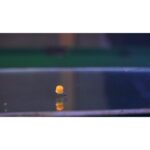 OSMO Przynęta Mini Larwa Wafters – Wiggly