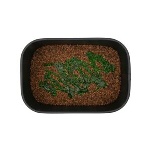 BAITNOW Liquid Method Feeder - Voo Doo Hybrid 50ml
