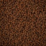 BAITNOW Pellet Method Feeder – O’Fish Marine 2mm 800g