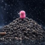 BAITNOW Pellet Method Feeder – Onyx 2mm 800g