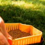 BAITNOW Pellet Method Feeder – Original Coarse 2mm 800g