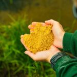 BAITNOW Zanęta Method Feeder – O’Fish Sweet 800g