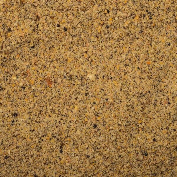 BAITNOW Zanęta Method Feeder - PumpQIN 800g