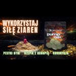 BAITNOW Zanęta Method Feeder – PumpQIN 800g