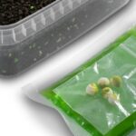 DELPHIN Zestaw Pellet box Reaxe READY&GO – Czosnek Kwas Masłowy