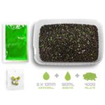 DELPHIN Zestaw Pellet box Reaxe READY&GO – Czosnek Kwas Masłowy
