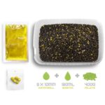 DELPHIN Zestaw Pellet box Reaxe READY&GO – Kukurydza Ananas