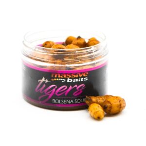 MASSIVE BAITS Orzechy tygrysie XL w zalewie Salty Sweet Tigers Bolsena Squid