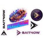 BAITNOW Wlepy wędkarskie zestaw naklejek nr 2 (KOS)