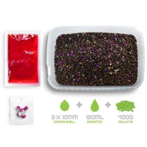 DELPHIN Zestaw Pellet box Reaxe READY&GO - Śliwka Morwa