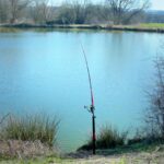 Delphin podpórka sumowa Energy 100cm